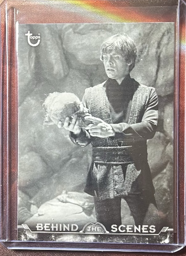 Hamlet Skywalker Base trading card from 2020 Topps 2020 Topps Star Wars Black & White: Return of the Jedi